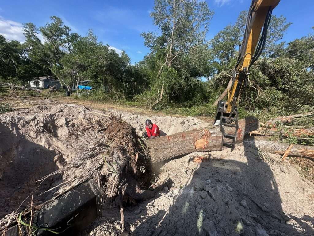 Tree Removal Specialists