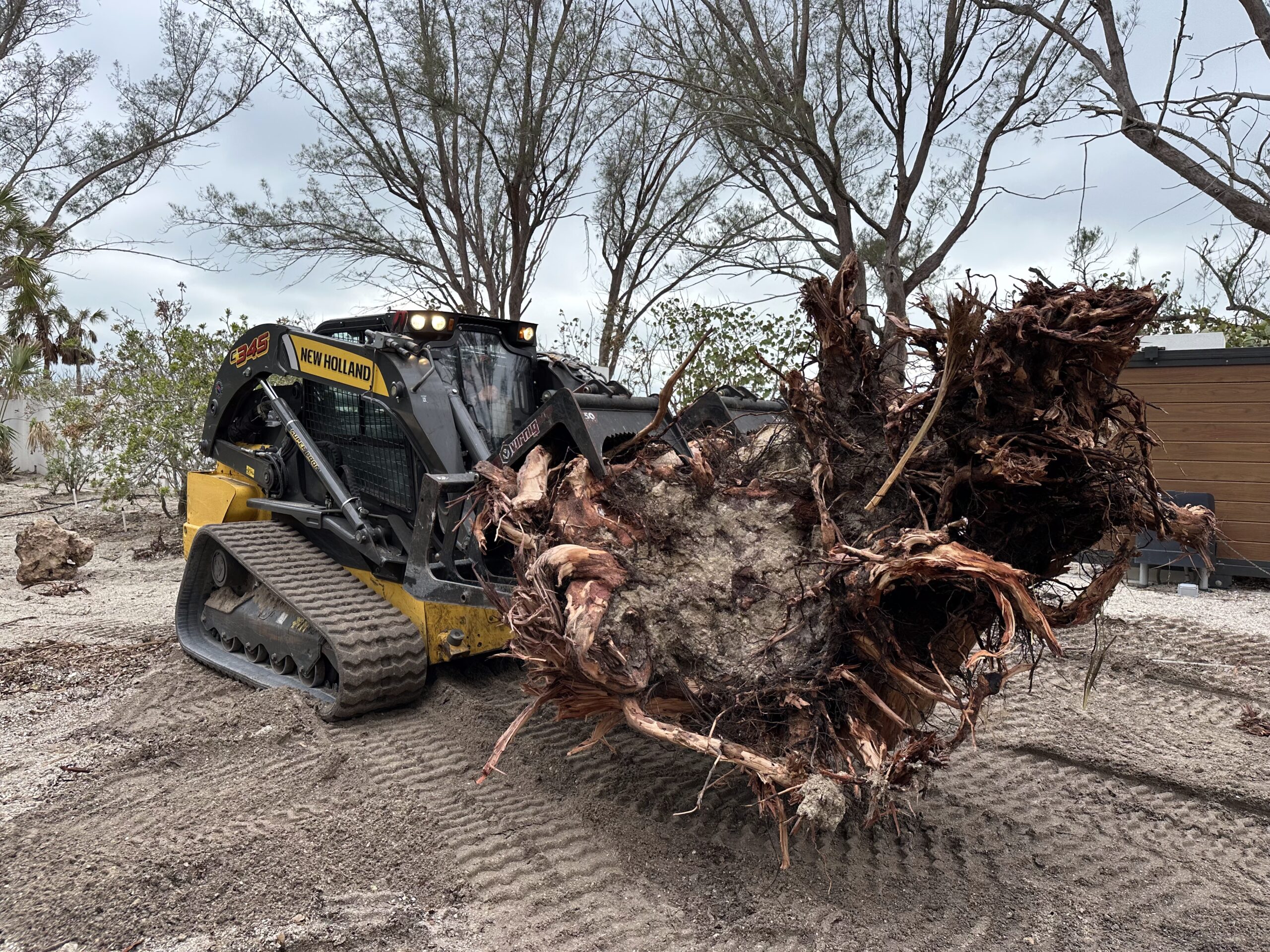 Land and lot clearing of trees, brush, and tree stumps with excavation equipment.