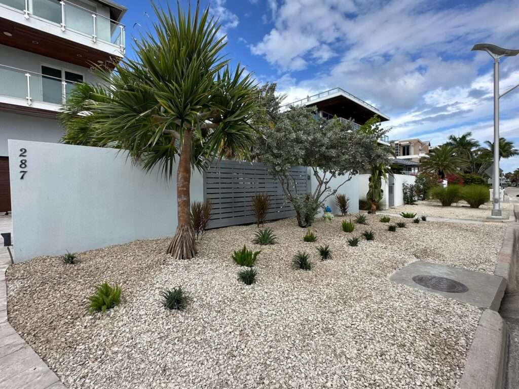 Newly hardscape garden area with fresh new plants and trees.