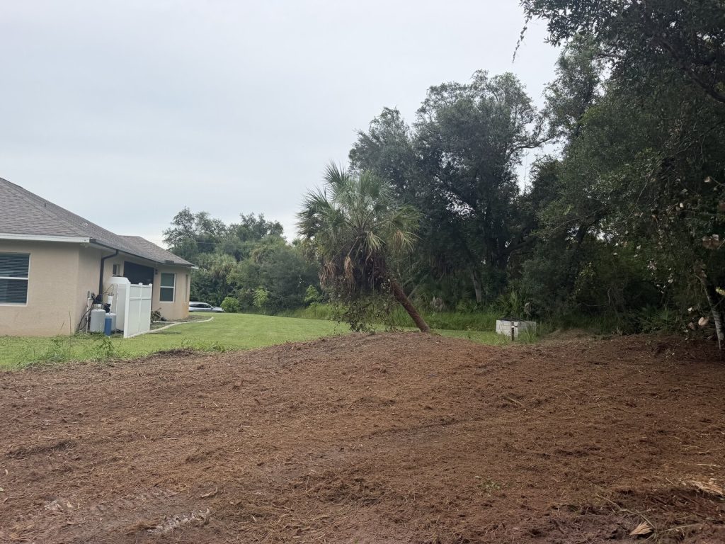 Freshly cleared and mulched residential ground next to lawn and retained trees