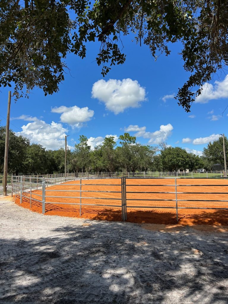 Horse arena entrance and steel rail fence beneath mature shade trees