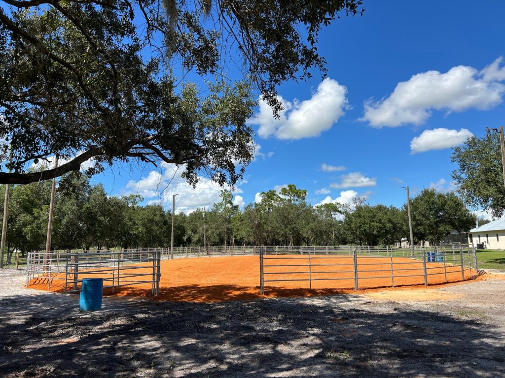 Horse arena with steel rail fencing and orange footing viewed beneath a shade tree