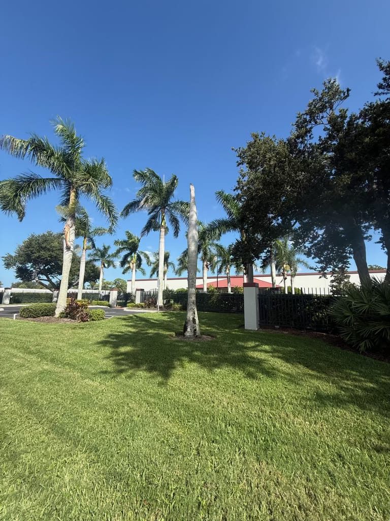 Commercial property grounds after tree removal by Liberty Services in Sarasota County, FL