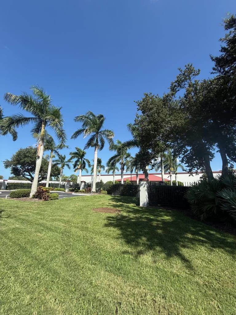 Cleared commercial landscape after tree removal by Liberty Services, Southwest Florida