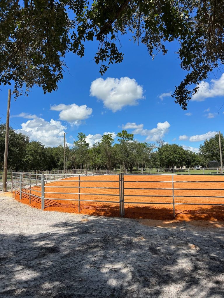 New horse arena under an oak canopy in Sarasota County, FL