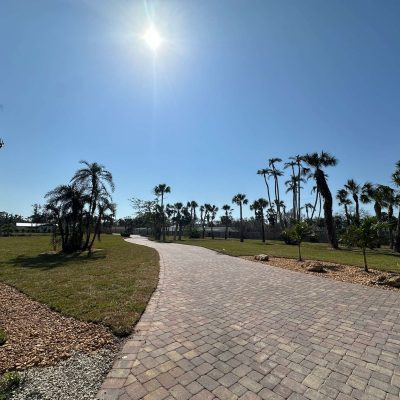 Newly planted trees and St Augustine sod installed.