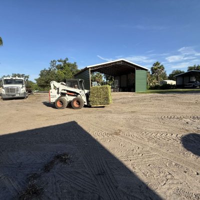 Fresh St Augustine sod on a pallet and being transported by a skid steer with a forklift.