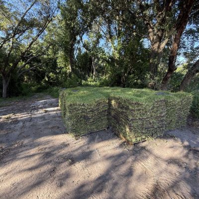 St Augustine sod freshly stacked on pallets and ready for pick up or delivery.
