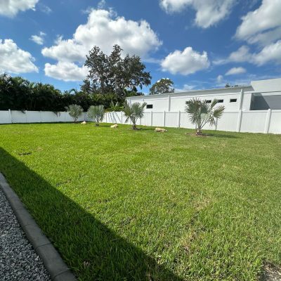 Fresh St Augustine sod installed at a home.