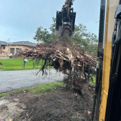 Yellow excavator removing a giant tree stump.