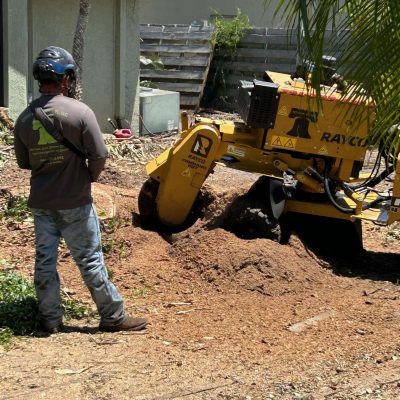 Brady controlling stump grinder with the remote.