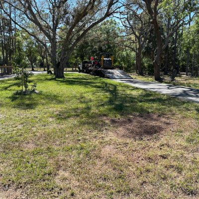 Image after a recent stump grinding took place.