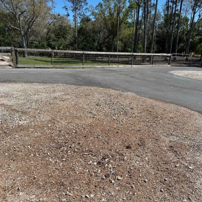 Picture of the area where a stump was ground.