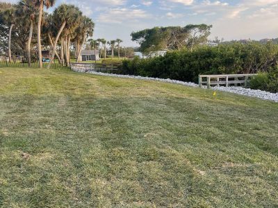 IMG_5402 Newly installed St Augustine sod.