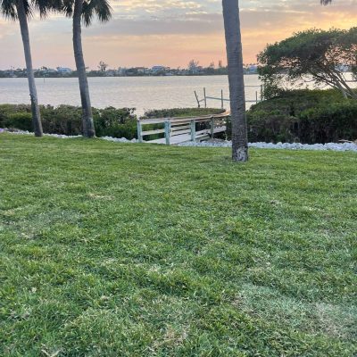 Fresh St Augustine sod was installed