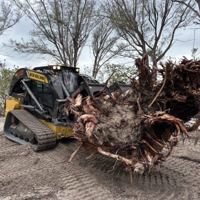 Land and lot clearing of trees, brush, and tree stumps with excavation equipment.
