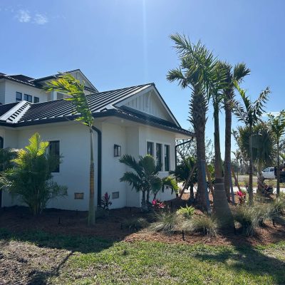 Fresh new landscape design with new palms and shrubs.