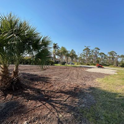Land cleared by forestry mulching techniques and equipment.