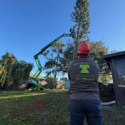 Mobile lift used to help trim a tree.
