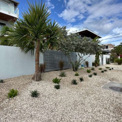 Newly hardscape garden area with fresh new plants and trees.