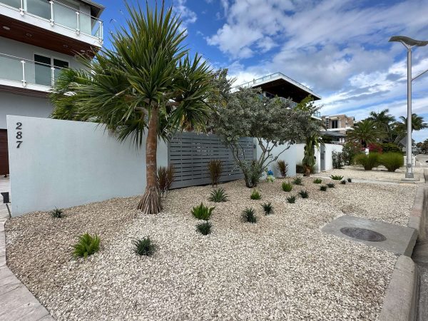 Newly hardscape garden area with fresh new plants and trees.