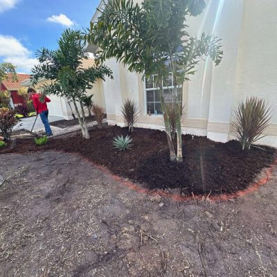 Landscape design services on site creating a new garden.