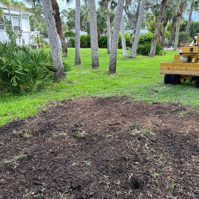 Picture of the ground after stump was ground down.