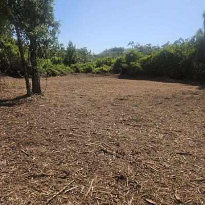 Land cleared and forestry mulched.