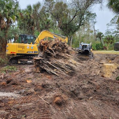 Land and lot cleared of trees, stumps, and brush with excavators